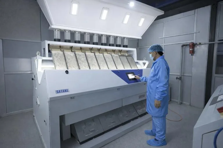 Global Rice Export — Vintage Global Impex